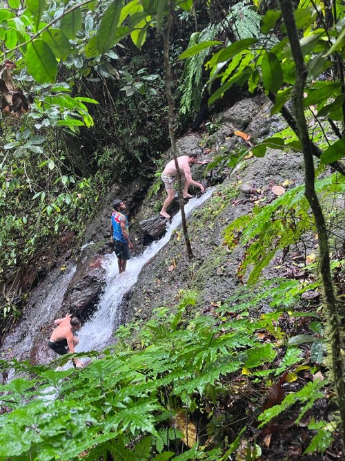 Lace up your boots and explore Fiji's breathtaking landscapes with our guided hiking tours at Naveria Heights. Discover hidden waterfalls, lush rainforests, and panoramic vistas.

https://www.naveriaheightsfiji.com/hiking.html