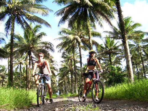 Coconut-Biking.jpg