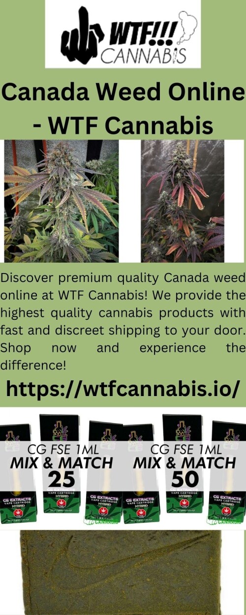 Discover premium quality Canada weed online at WTF Cannabis! We provide the highest quality cannabis products with fast and discreet shipping to your door. Shop now and experience the difference!

https://wtfcannabis.io/