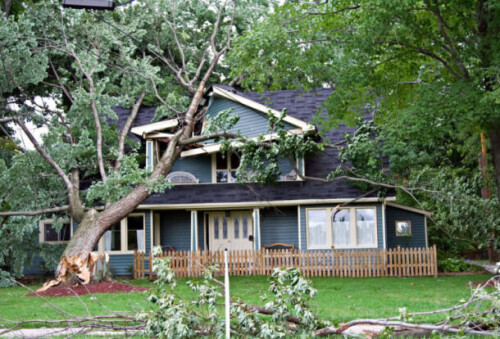 For residential tree trimming service near you, choose Tree Daddy Tree Experts. Our skilled team ensures your trees are trimmed professionally for a beautiful landscape.

https://treedaddytreeexperts.com/