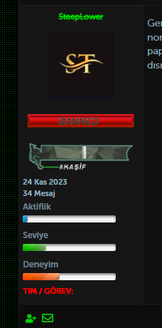 Ekran-Alintisi.png