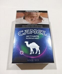 camel-active-purple-mint-blueberry-cigarettes-247x296.jpg