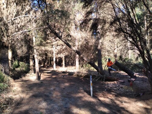 Tree Services Rangiora offers expert arboricultural solutions in the heart of New Zealand. With a team of skilled professionals, they provide tree removal, pruning, and stump grinding services. Committed to safety and environmental responsibility, they ensure the well-being and longevity of the region's greenery.

https://proarbcanterbury.kiwi/