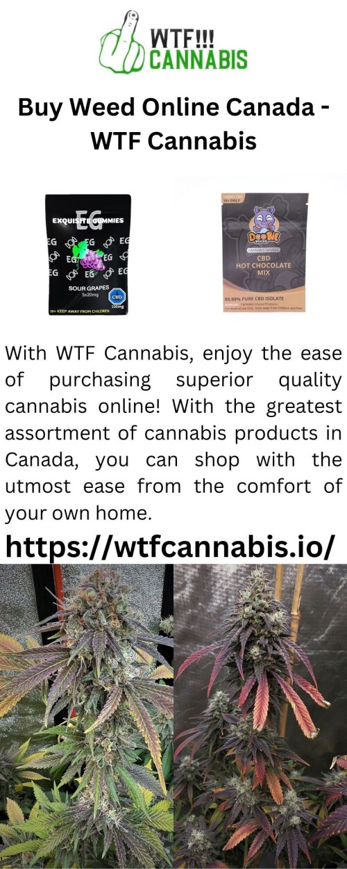 With WTF Cannabis, enjoy the ease of purchasing superior quality cannabis online! With the greatest assortment of cannabis products in Canada, you can shop with the utmost ease from the comfort of your own home.

https://wtfcannabis.io/