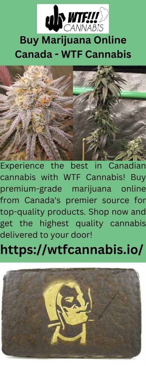 Experience the best in Canadian cannabis with WTF Cannabis! Buy premium-grade marijuana online from Canada's premier source for top-quality products. Shop now and get the highest quality cannabis delivered to your door!



https://wtfcannabis.io/