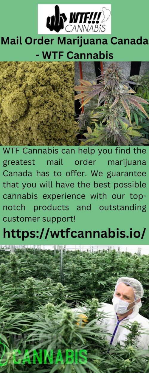 WTF Cannabis can help you find the greatest mail order marijuana Canada has to offer. We guarantee that you will have the best possible cannabis experience with our top-notch products and outstanding customer support!


https://wtfcannabis.io/