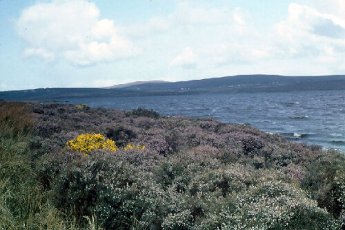 Western shore of Lough Carrowmore, County Mayo geograph.org.uk 66091