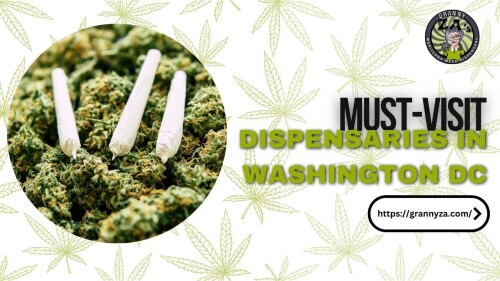 Must-Visit-Dispensaries-in-Washington-DC.jpg