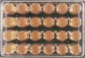 Tissue-Culture-Plate-24-Well-Collagen-Coated-Culture-Plate.jpg