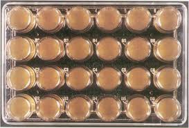 Tissue-Culture-Plate-24-Well-Collagen-Coated-Culture-Plate.jpg