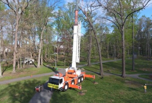 Looking for commercial tree removal near you? Tree Daddy Tree Experts provides professional and efficient services for commercial properties.

https://treedaddytreeexperts.com/