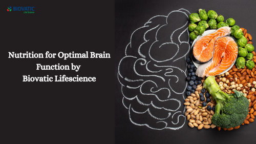 Nutrition for Optimal Brain Function by Biovatic Lifescience (1)