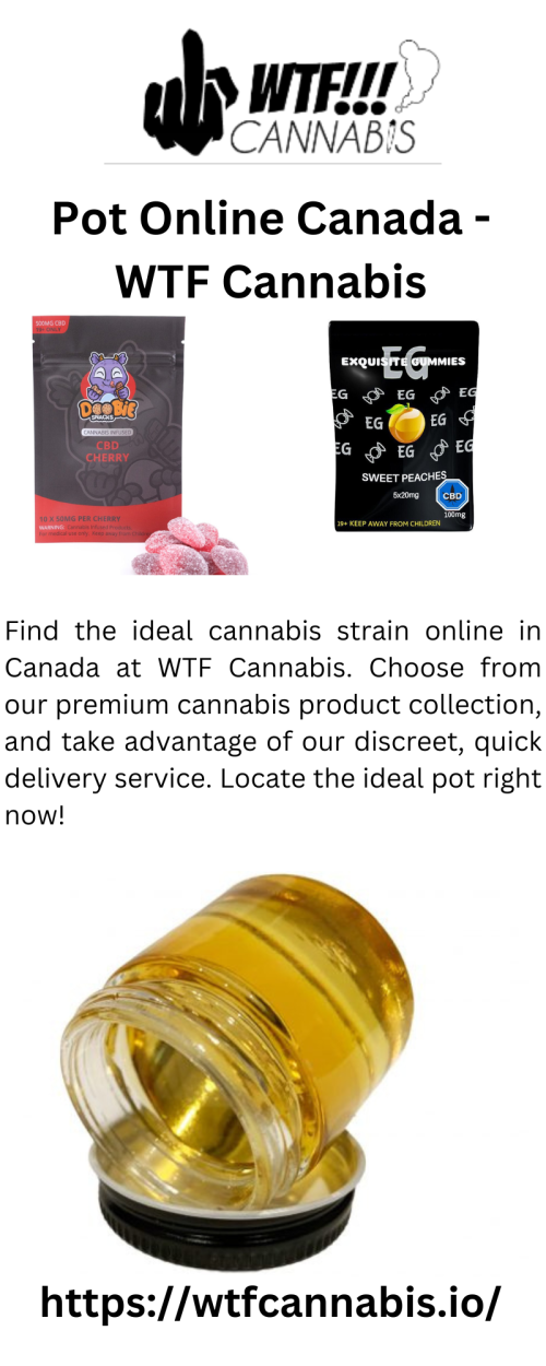 Find the ideal cannabis strain online in Canada at WTF Cannabis. Choose from our premium cannabis product collection, and take advantage of our discreet, quick delivery service. Locate the ideal pot right now!



https://wtfcannabis.io/