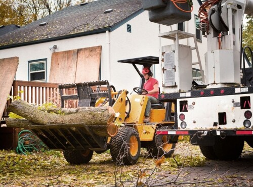 Expert tree removal services in New Braunfels by Jjtreecarepros.com. Trust our experienced team to safely and efficiently remove any tree. Contact us now!(https://jjtreecarepros.com/)