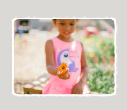 Preschool-hero2.jpg