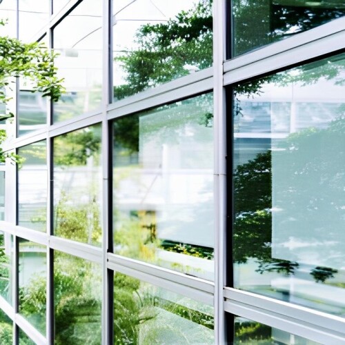 window.jpg