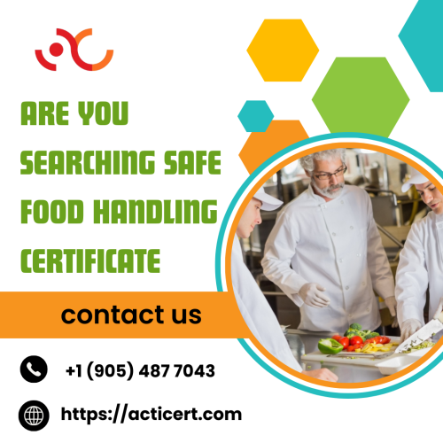 Are-You-Searching-Safe-Food-Handling-Certificate.png