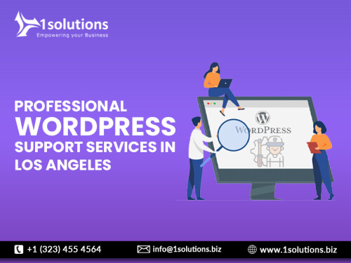Professional-WordPress-Support-Services-in-Los-Angeles.jpg