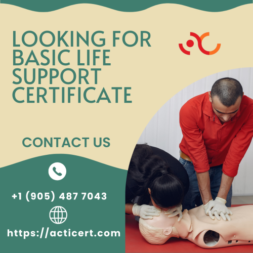 Looking-For-Basic-Life-Support-Certificate.png
