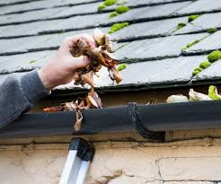 The-Best-Guide-to-Gutter-Maintenance-in-Sydney.jpg