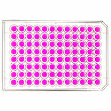 Get-Affoardable-Price-cells-in-96-well-plate.jpg