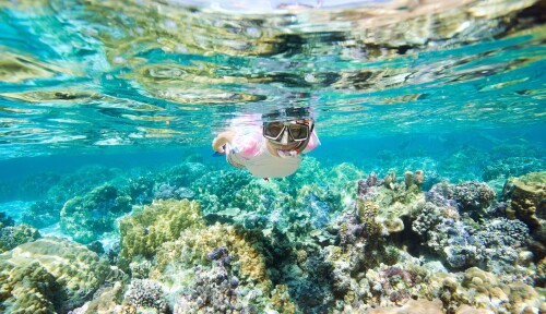 snorkel-mask-a7244edf.jpg