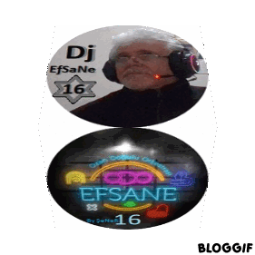 bloggif_667862efa94d0.gif