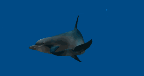 image_863006170049409107182.gif