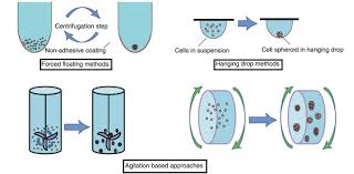 Advanced-3D-Cell-Culture-Systems-in-New-Zealand.jpg