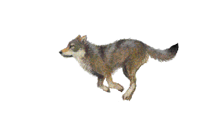 bda669d7a6188c337445587766f043ed.gif