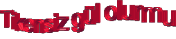 Tikensiz-gul-olurmu.gif