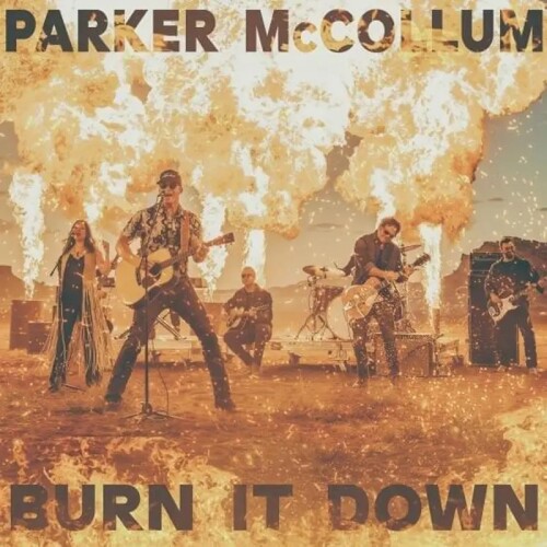 Peter-McCollum-Burn-It-Down-Album-Cover.jpg