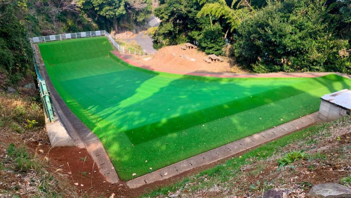 What Is Grass Skiing? Everything You Need to Know