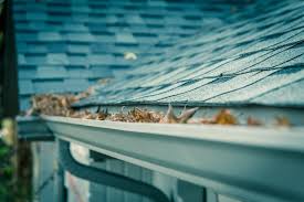 The-Best-Residential-Gutter-Cleaning-in-Sydney.jpg