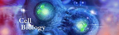 Your-Trusted-Partner-in-Cell-Biology-Solutions.jpg