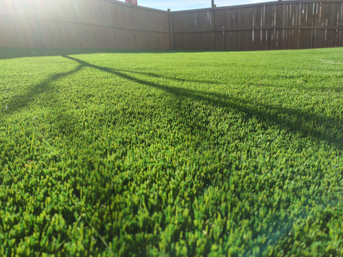 Unlock the Perfect Lawn: Best Value Turf Solutions in SE QLD
