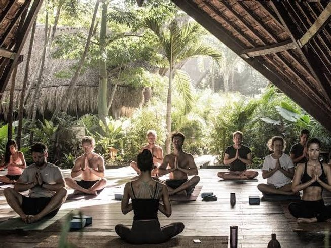 Rejuvenate Your Mind and Body: Exploring the Benefits of Mexico Mental Health Retreats and Mushroom Retreats