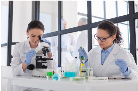 Exploring the CDMO Biotech and CDMO Market