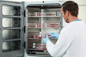 Premium-Cell-Culture-Incubators-in-New-Zealand.jpg