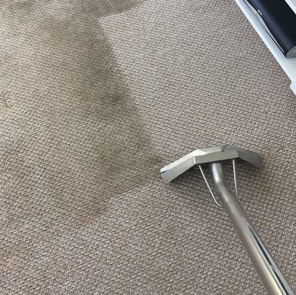 The Importance of Commercial Building Carpet Cleaners for a Professional Look